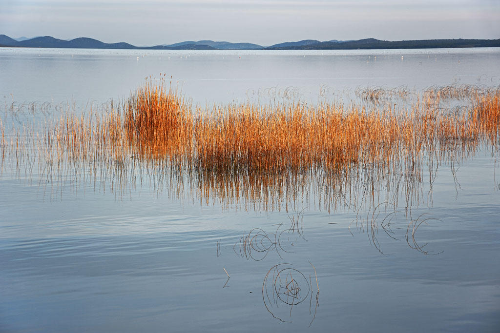 Lake Vrana Dalmatia Wikimedia
