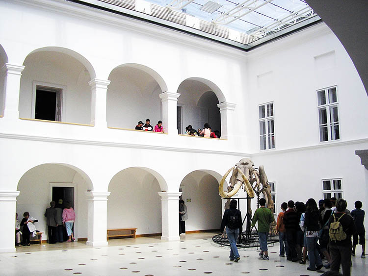 gyongyosi matra muzeum